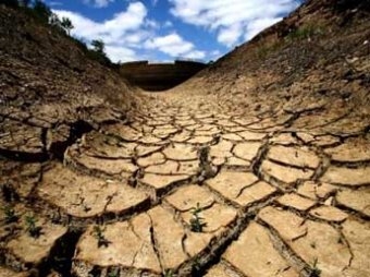 Ученые: до 2030 года около 100 миллионов человек умрут из-за изменения климата